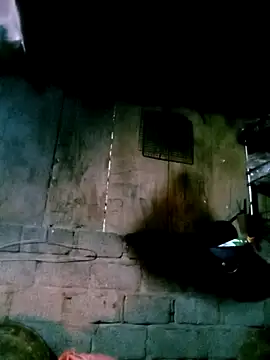 Noelle-e's cam snapshot