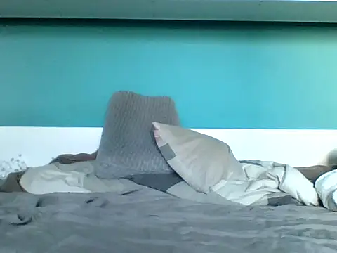 SEBIX-35's cam snapshot