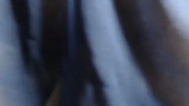 LOYAL_SASHA live sex cam