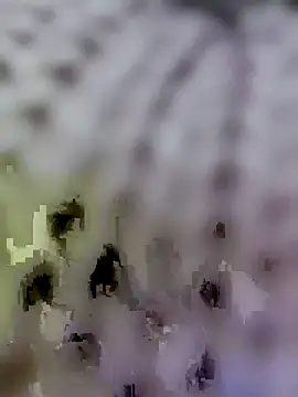 Hot-Sana2's cam snapshot