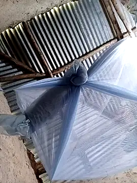 pretty_prickle's cam snapshot