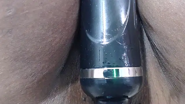 Bracylia's cam snapshot