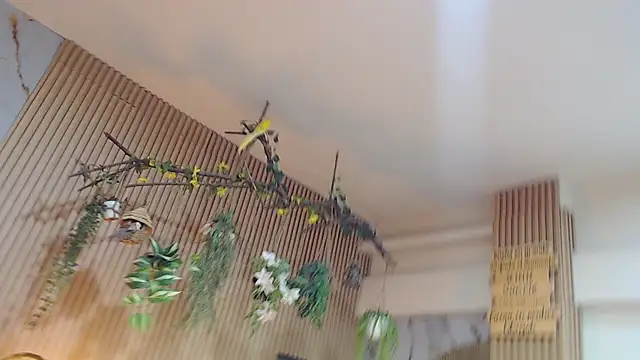 deepieredandwett's cam snapshot