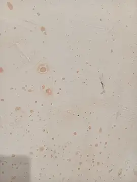 Anjali_hot5's cam snapshot