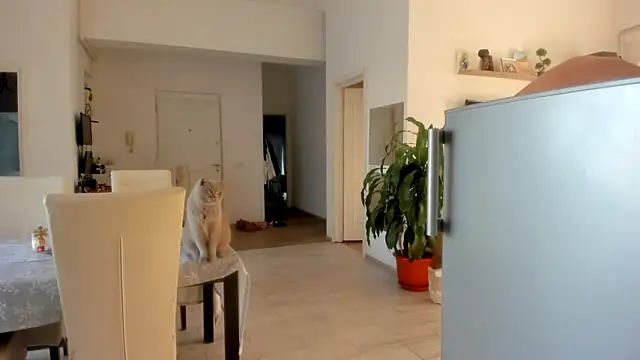 woolfiie live sex cam