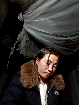 seacyre's cam snapshot