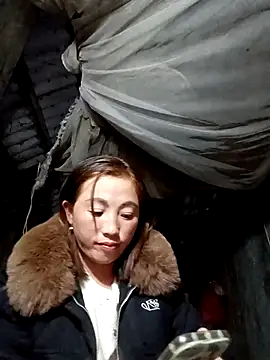 seacyre's cam snapshot