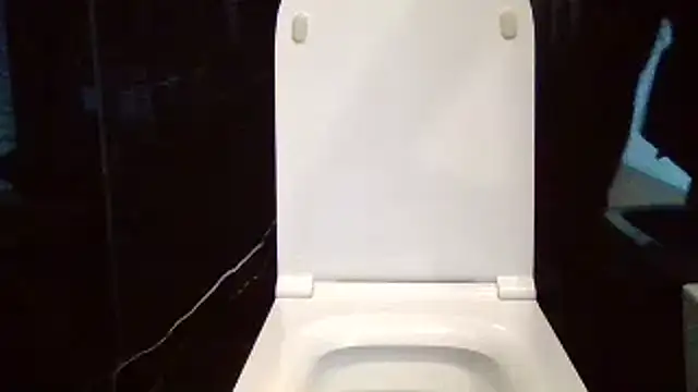 AvvocatoPorco's cam snapshot