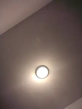 Treemandude live sex cam