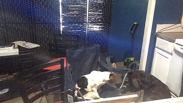 sexyhotstud12 live sex cam