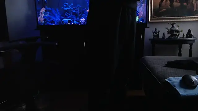 EspanolVato's cam snapshot