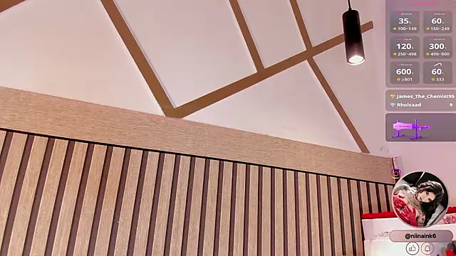 NinaInk's cam snapshot