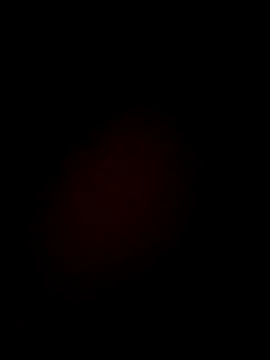 -Bunny-y's cam snapshot