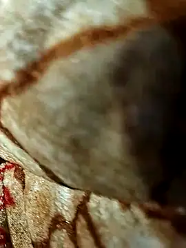 Raj-rajendri__sexy24's cam snapshot