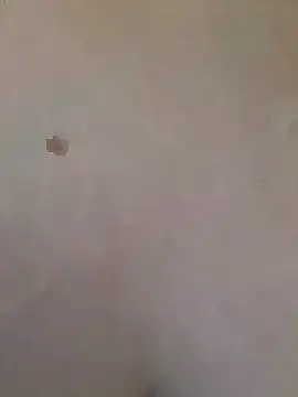 tran_my's cam snapshot