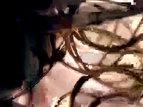 19chubbylover81's cam snapshot