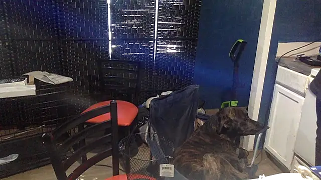 sexyhotstud12's cam snapshot