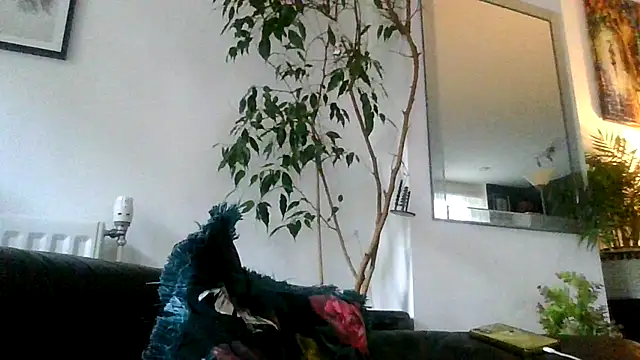 Ebony-SultryX's cam snapshot