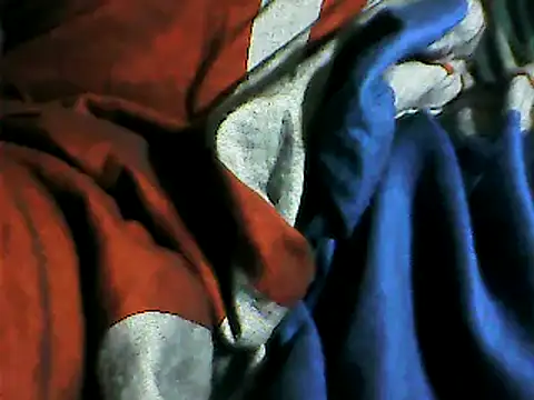 rajith8999's cam snapshot