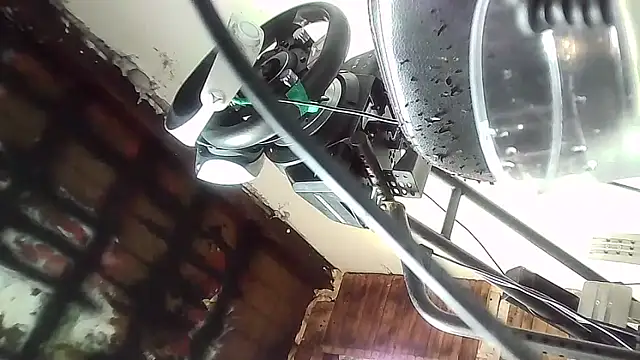 ILOVEhairywoman's cam snapshot