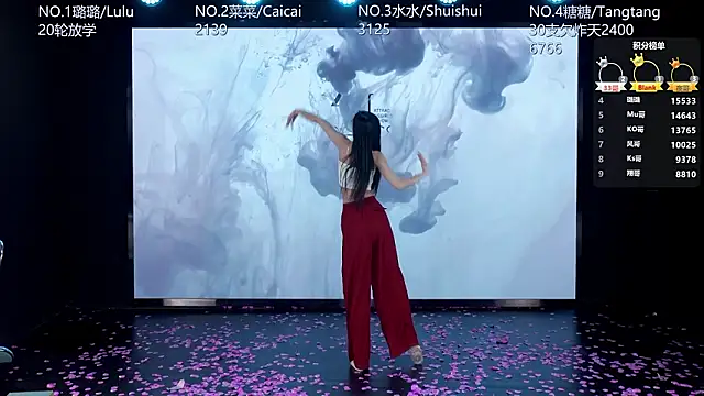 SK-001's cam snapshot