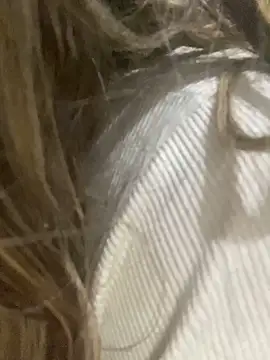 yassminsexy22 live sex cam