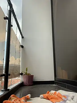 Agatta-X's cam snapshot