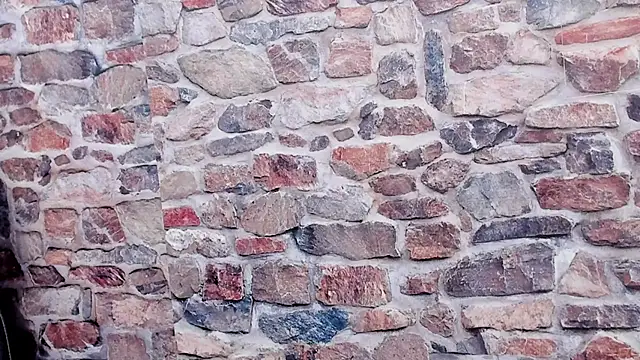 Vanessa__Fox_'s cam snapshot