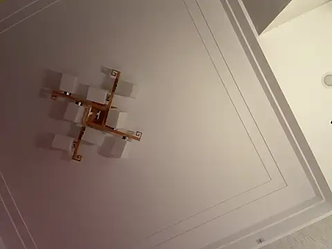 -cyber-butterfly-'s cam snapshot