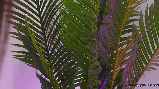 Valery_Swan1's cam snapshot