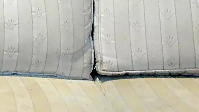 jayshort786's cam snapshot