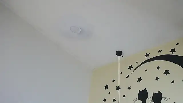 jeisonstark live sex cam