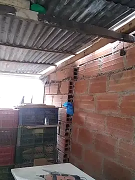 hoteder's cam snapshot