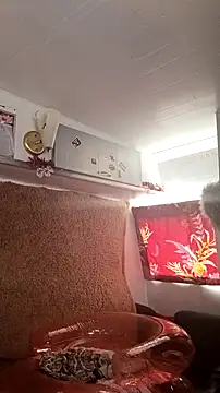 whitetrashdirtyslut's cam snapshot