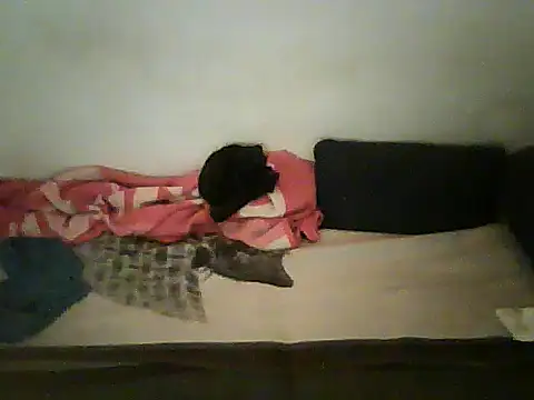 schmidtler35's cam snapshot