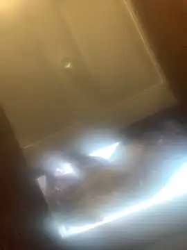 Likewise's cam snapshot