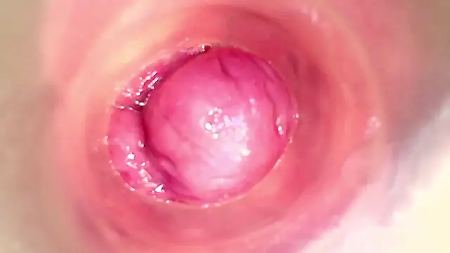 shannon_kinne_'s cam snapshot