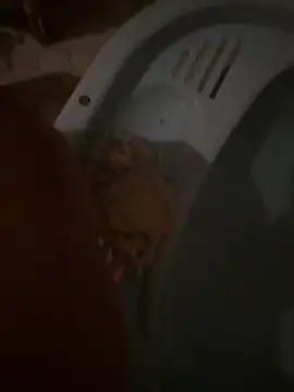 NHMDuc's cam snapshot