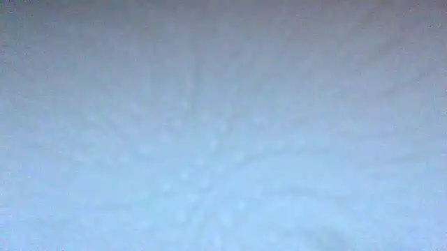 Jute-land's cam snapshot