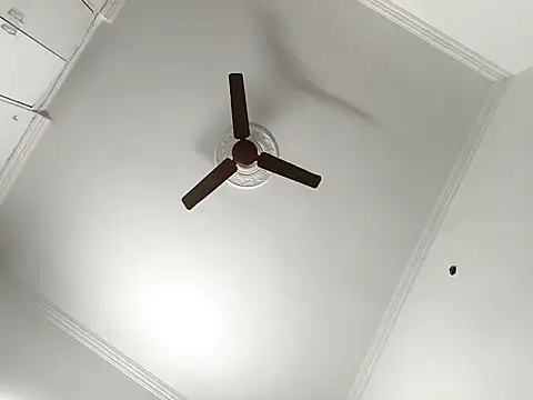 paro22_sex live sex cam