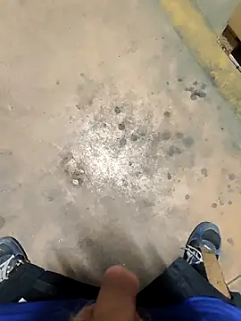 TAMI61's cam snapshot