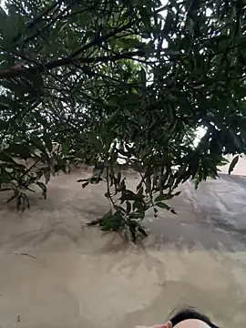 Cecilia0o live sex cam