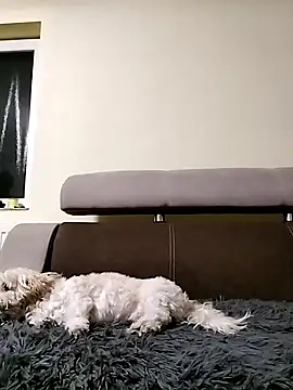 Milfa_nimfomana's cam snapshot