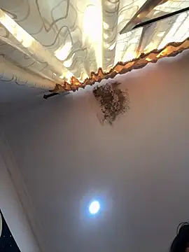 pawmistry's cam snapshot