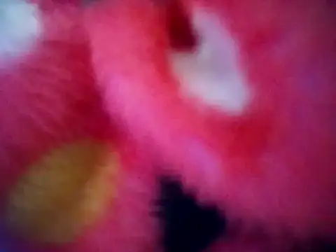 Arab-xxxx's cam snapshot