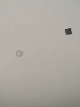 Cielo_13's cam snapshot