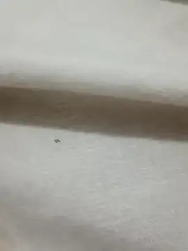 Saradasexy's cam snapshot