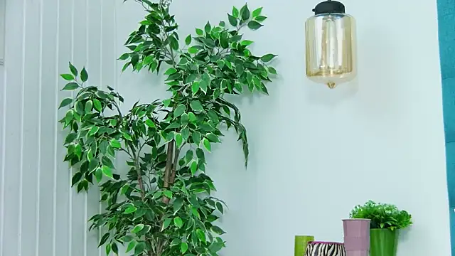 EmilyColle_'s cam snapshot