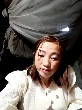 seacyre's cam snapshot