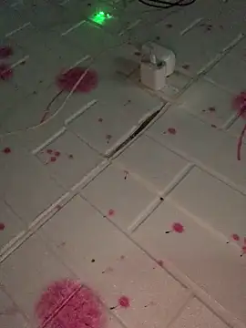 Hoa-tuylip's cam snapshot